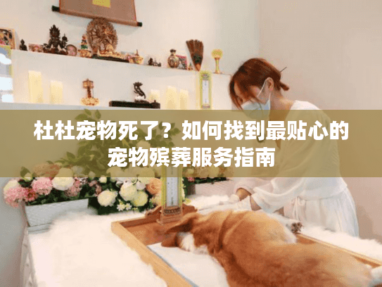 杜杜宠物死了？如何找到最贴心的宠物殡葬服务指南