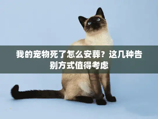 我的宠物死了怎么安葬？这几种告别方式值得考虑