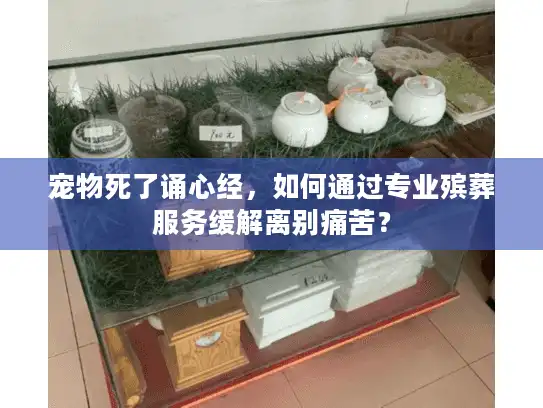 宠物死了诵心经，如何通过专业殡葬服务缓解离别痛苦？